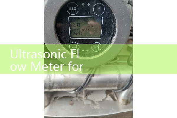 Ultrasonic Flow Meter for Gas: Overview of industrial vapor monitoring technology.